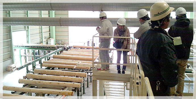 平成24年度ブランド化事業 国産材研修会 平成24年度ブランド化事業 国産材研修会