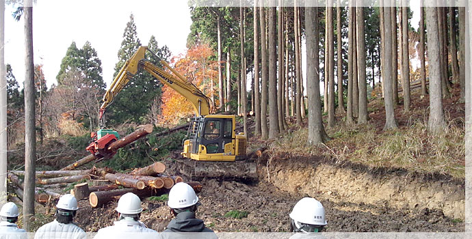 平成24年度ブランド化事業 国産材研修会 平成24年度ブランド化事業 国産材研修会